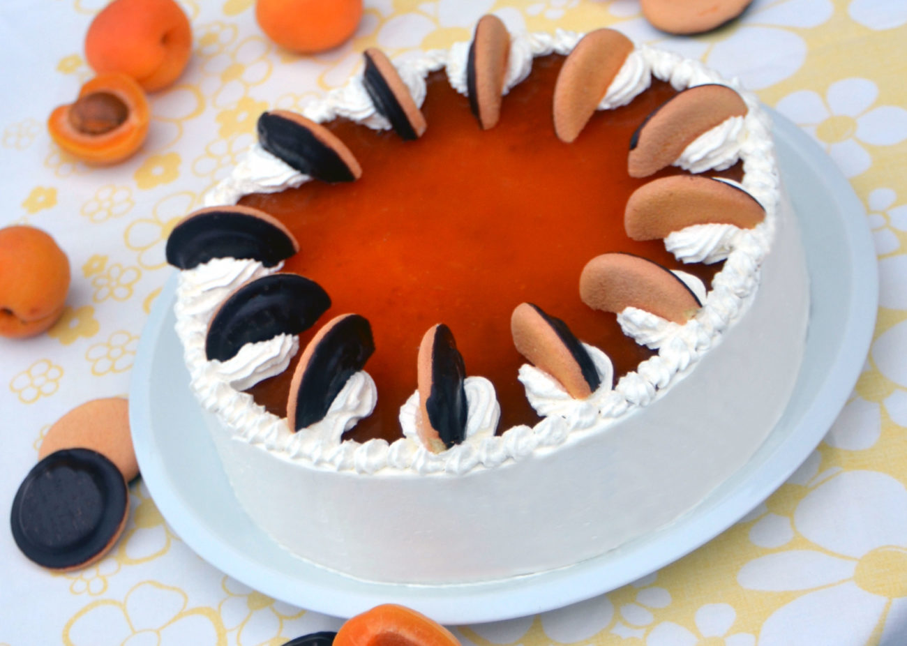 Nepečený jaffa piškotový dort s meruňkovou čoko náplní